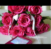 ������ ������� ������